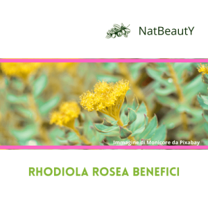 Rhodiola rosea benefici rodiola